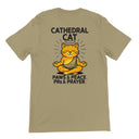 Cathedral Cat Cartoon